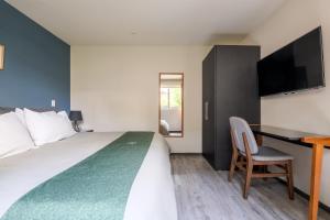 Loft Con Terraza Polanco - PINO