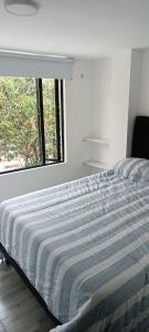 Rockhouse Apartaestudios