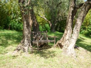 Maisons de vacances Pool House Matisse in large park with heated pool : photos des chambres