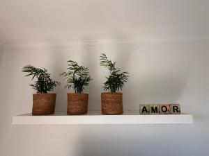 Studio Amor op het gelijkvloers met tuintje nabij strand