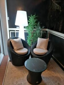 Juan les Pins Vitoria grand 2P calme parking