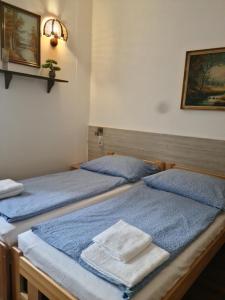 Classic Triple Room room in Penzion Vysehrad