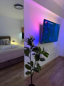 DeLuxury Apartment Chmielna