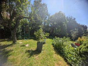 Maisons de vacances Chemin des Vignerons : photos des chambres