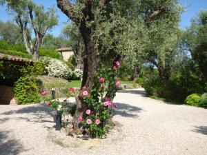 Maisons de vacances Apartment Picasso in large park with heated pool : photos des chambres