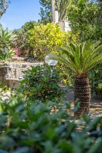 Villa la luna di carta