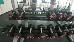 Panorama lake punta cana