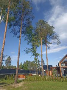 Domek pod lasem - Nowa stodoła