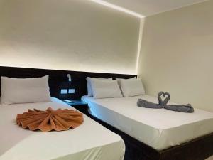 Rivera Cairo Hostel