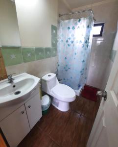 Relaxation and nature in Pucón