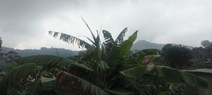Misty Horizon Villa