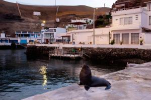 Casa Nutria - Pucusana Las Ninfas - Beach and Sea
