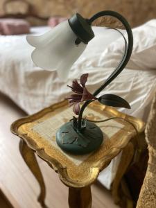 Appartements Le Perchoir de Cyrano : photos des chambres