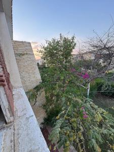 فيلا الجناين