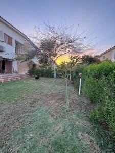 فيلا الجناين