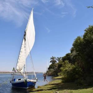 Felucca sailing overnight experience with imaginative felucca aswan