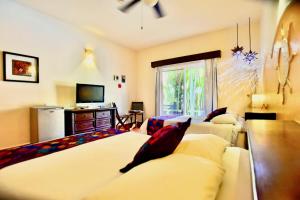 Riviera del Sol Amazing Double Queen Deluxe Suite 204
