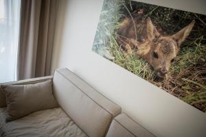 Appartamento con 1 Camera da Letto