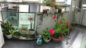 Căn hộ ban công tuyệt đẹp Hùng Vương TT Quận 10
