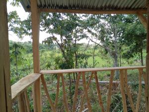Cabin in the Mayan Jungle