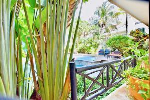 Riviera del Sol Amazing Double Queen Junior Suite 107