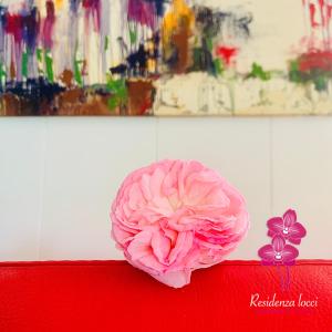 Residenza Locci - Aparthotel & Rooms
