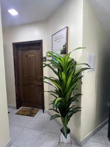 Departamentos Marina 1