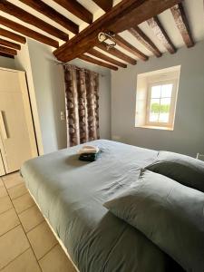 Appartements La Glycine, avec acces piscine et jacuzzi : photos des chambres