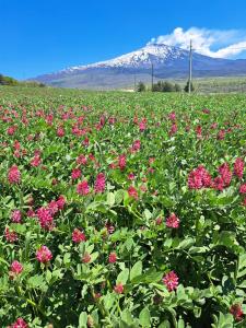 Casaparrinello Maletto Concy