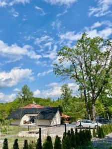 Pod Dębową Koroną