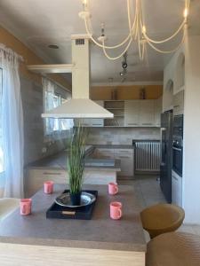 Villas Vue Imprenable a Grasse Plascassier : photos des chambres