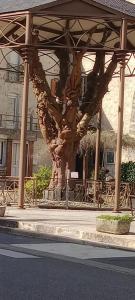 Appartements Appartement cosy a Le Caylar 38m² avec parking : photos des chambres