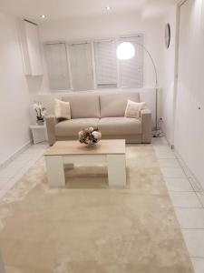 Luxurious Apartment Cannes city center five minutes from beach