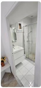 Luxurious Apartment Cannes city center five minutes from beach