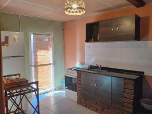 Cactus del Talampaya 1