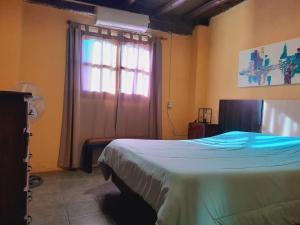 Cactus del Talampaya 1