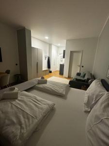 Dubulti wooden guesthouse