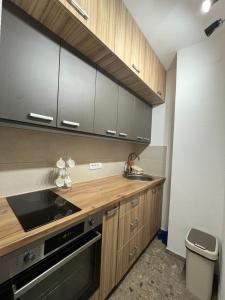 Pavlovic apartman