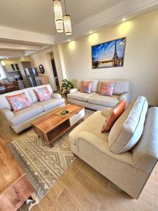 luxurious fully furnished two bedroom apartment with heated swimming pool fully equipped gym child play area and ample parking space and a relaxing rooftop with a breathtaking city views
