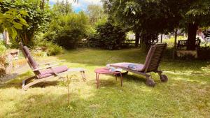 Ecologis du Vignoble