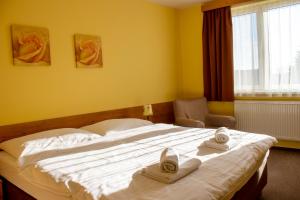 Deluxe Room room in Penzion Bojnice