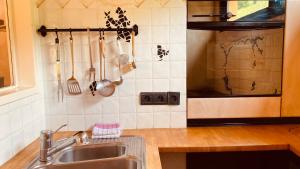 Maisons de vacances Ecologis du Vignoble : photos des chambres