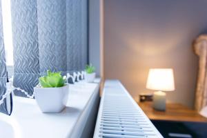 Cosy Cruise Cribs - SEAFORD