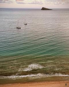 Primera 1ª línea Playa Levante Benidorm