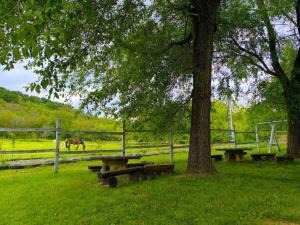 Mátyus Udvarház Kengyel Fogadó Eger