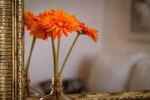 Apartment Shambala Sea View