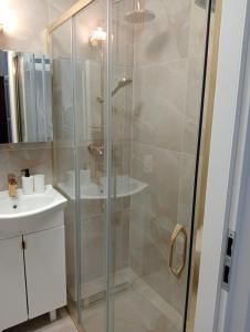 Apartament Centrum Podjasnogórski