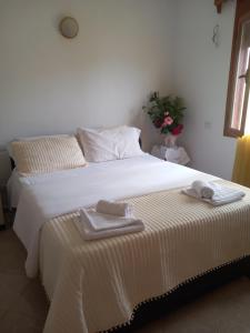 Darios Apartaments 2