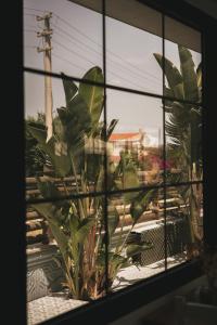 La Vida otel