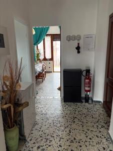 all ombra dei pini img6